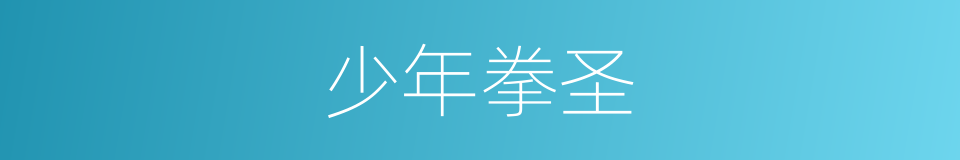 少年拳圣的同义词
