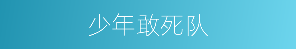 少年敢死队的同义词