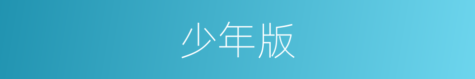 少年版的同义词
