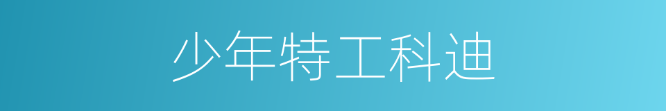 少年特工科迪的同义词