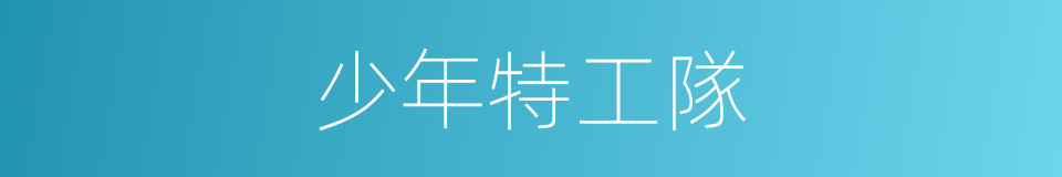 少年特工隊的同義詞