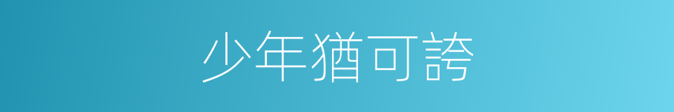 少年猶可誇的同義詞
