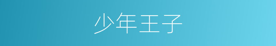 少年王子的同义词