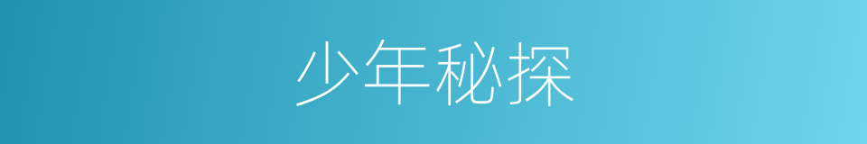 少年秘探的同义词