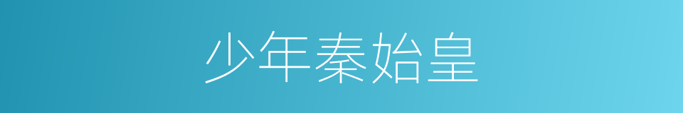 少年秦始皇的同义词