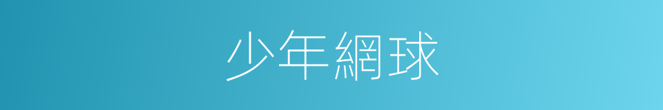 少年網球的同義詞