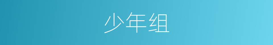 少年组的同义词