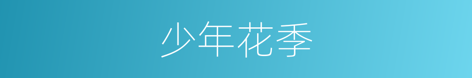 少年花季的同义词