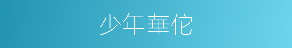 少年華佗的同義詞