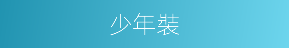 少年裝的同義詞