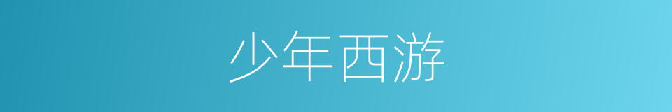 少年西游的同义词