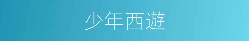 少年西遊的同義詞