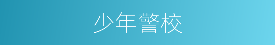 少年警校的同义词