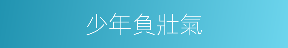 少年負壯氣的同義詞