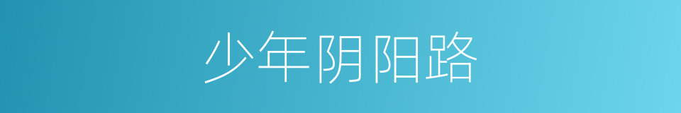 少年阴阳路的同义词