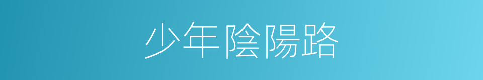 少年陰陽路的同義詞