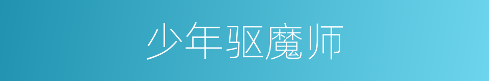 少年驱魔师的同义词