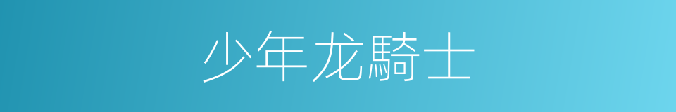 少年龙騎士的同義詞