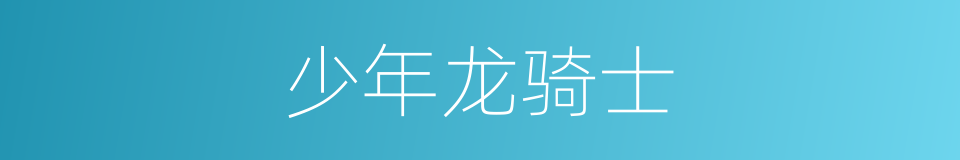 少年龙骑士的同义词