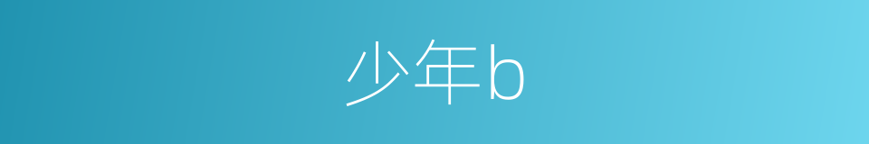少年b的同义词