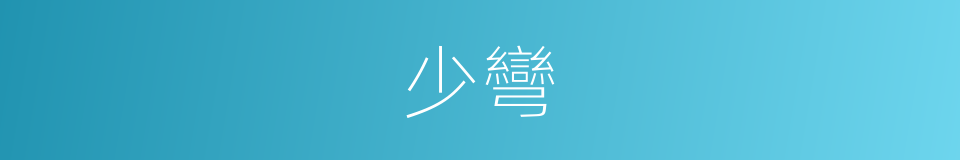 少彎的同義詞