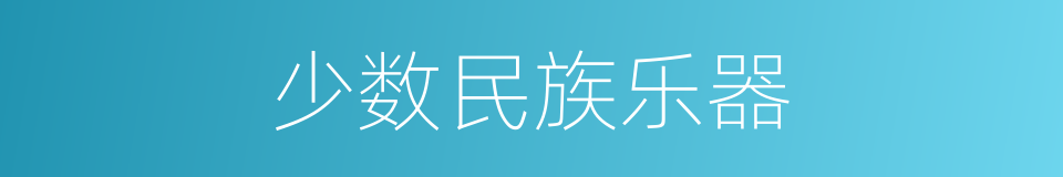 少数民族乐器的同义词