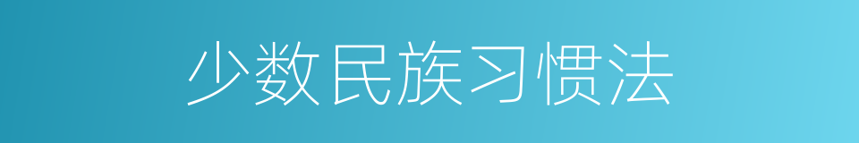 少数民族习惯法的同义词