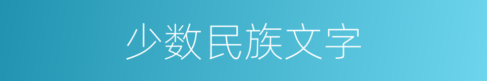 少数民族文字的同义词