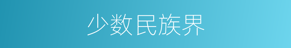 少数民族界的同义词