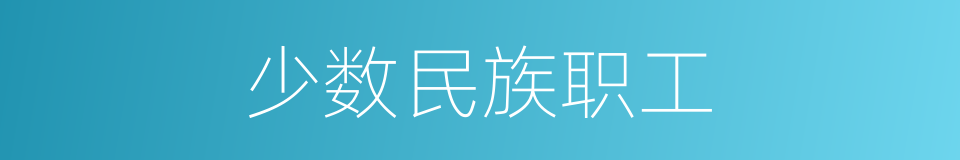 少数民族职工的同义词