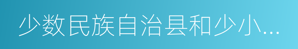 少数民族自治县和少小民族县的同义词