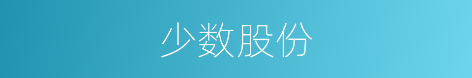 少数股份的同义词