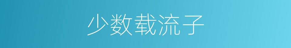 少数载流子的同义词