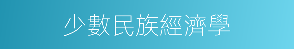 少數民族經濟學的同義詞