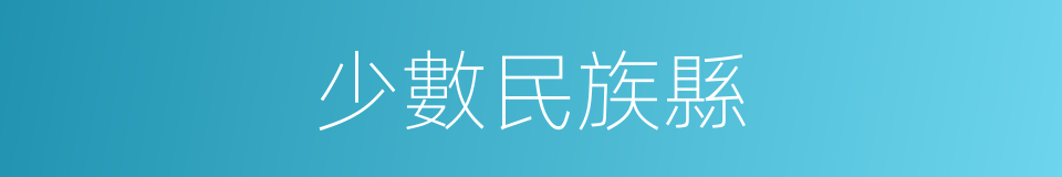 少數民族縣的同義詞