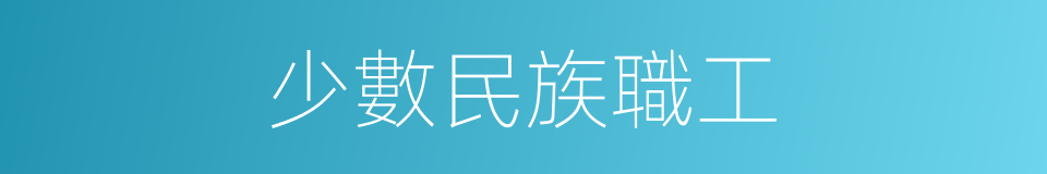 少數民族職工的同義詞