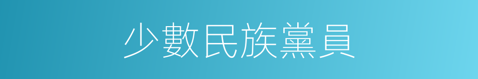 少數民族黨員的同義詞