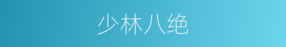 少林八绝的同义词