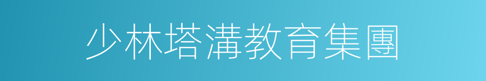 少林塔溝教育集團的同義詞