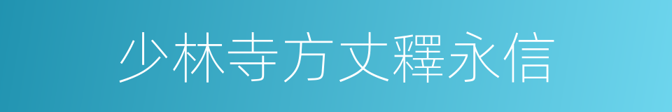 少林寺方丈釋永信的同義詞