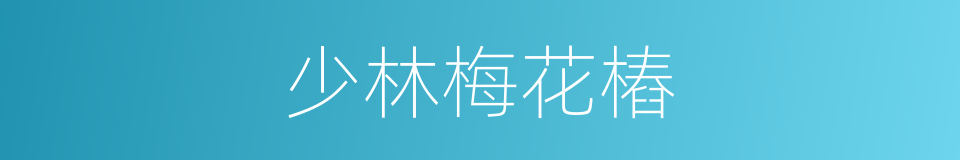 少林梅花樁的同義詞