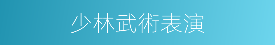 少林武術表演的同義詞