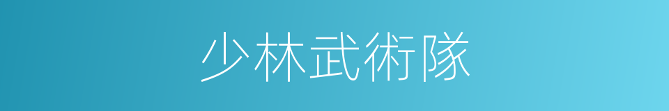 少林武術隊的同義詞