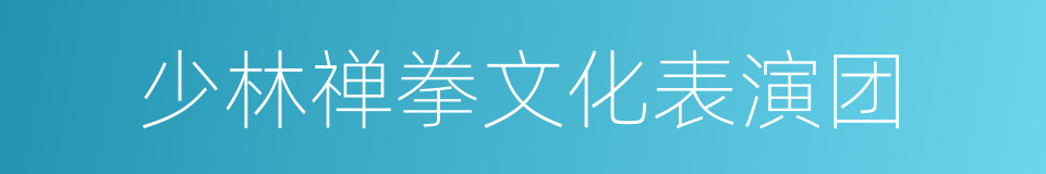 少林禅拳文化表演团的同义词