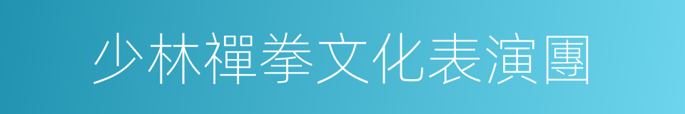 少林禪拳文化表演團的同義詞