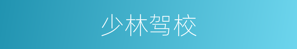少林驾校的同义词