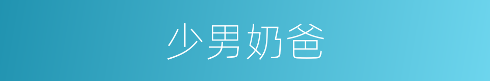 少男奶爸的同义词