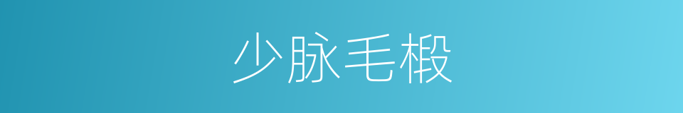 少脉毛椴的同义词