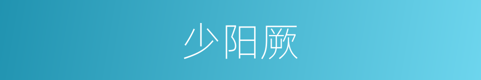 少阳厥的意思
