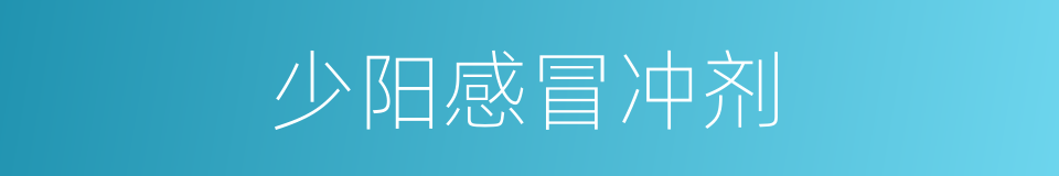 少阳感冒冲剂的同义词